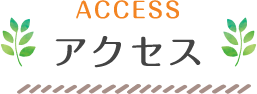 ACCESS